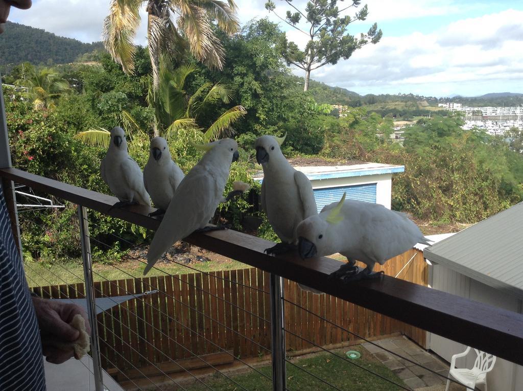 Studio Apartment With Seaview Airlie Beach Exterior photo